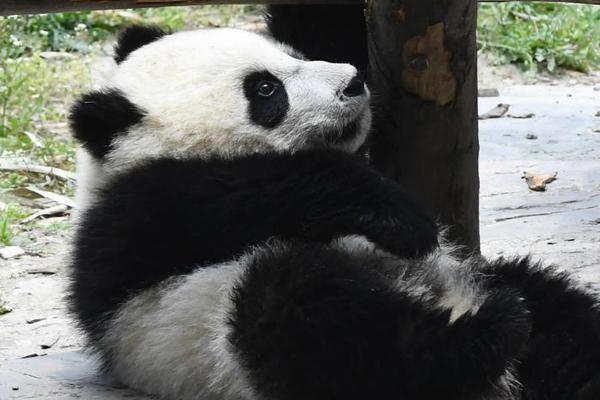 俞正聲會見巴西聯(lián)邦共和國總統(tǒng)