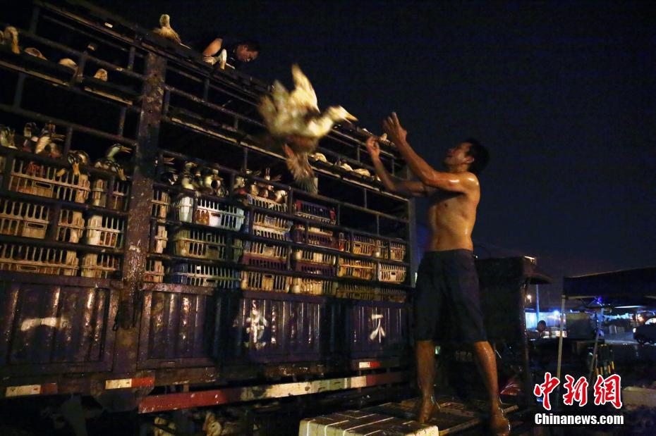 習(xí)近平同巴西聯(lián)邦共和國總統(tǒng)舉行會談 兩國元首一致同意推動中巴全面戰(zhàn)略伙伴關(guān)系取得新的更大發(fā)展