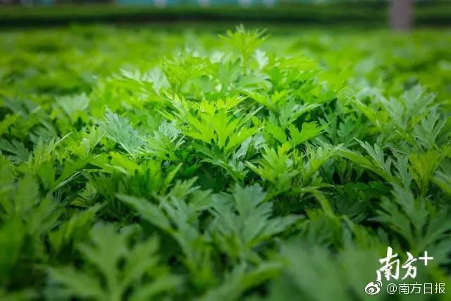 俞正聲會見巴西聯(lián)邦共和國總統(tǒng)