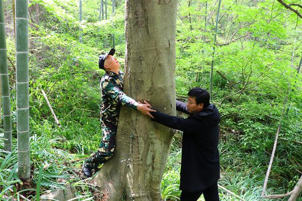 習(xí)近平同巴西聯(lián)邦共和國(guó)總統(tǒng)舉行會(huì)談 兩國(guó)元首一致同意推動(dòng)中巴全面戰(zhàn)略伙伴關(guān)系取得新的更大發(fā)展