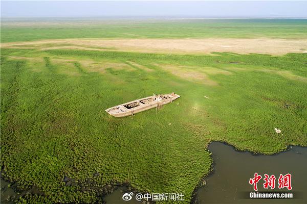 習(xí)近平同巴西聯(lián)邦共和國(guó)總統(tǒng)舉行會(huì)談 兩國(guó)元首一致同意推動(dòng)中巴全面戰(zhàn)略伙伴關(guān)系取得新的更大發(fā)展