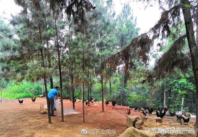 吉林省公安廳一女干部獲刑：兩次收錢辦事都沒辦成，被舉報(bào)