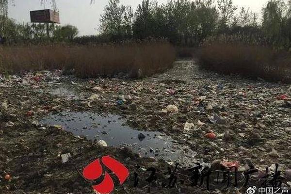 俞正聲會(huì)見巴西聯(lián)邦共和國總統(tǒng)