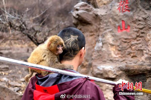俞正聲會(huì)見(jiàn)巴西聯(lián)邦共和國(guó)總統(tǒng)