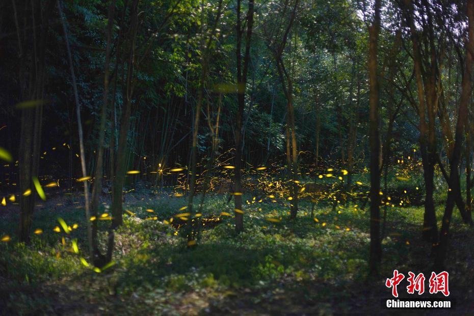 立法擬明確：接種疫苗死殘 不能排除是異常反應(yīng)也補(bǔ)償