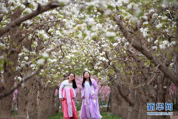 習(xí)近平同巴西聯(lián)邦共和國總統(tǒng)舉行會談 兩國元首一致同意推動中巴全面戰(zhàn)略伙伴關(guān)系取得新的更大發(fā)展