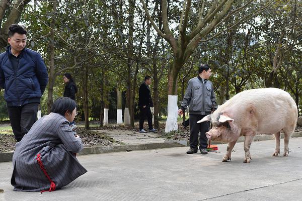 習(xí)近平同巴西聯(lián)邦共和國(guó)總統(tǒng)舉行會(huì)談 兩國(guó)元首一致同意推動(dòng)中巴全面戰(zhàn)略伙伴關(guān)系取得新的更大發(fā)展
