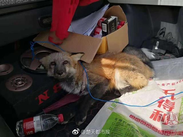 十二屆全國人大常委會第二十九次會議在京閉幕