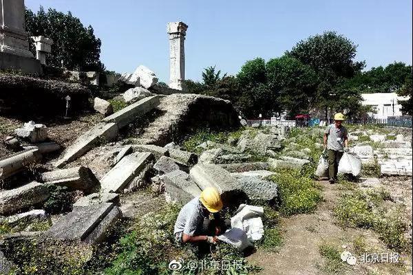 河北“袁府”是養(yǎng)老院？白巖松：要真是，就感動中國了