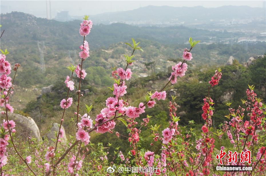 河北“袁府”是養(yǎng)老院？白巖松：要真是，就感動中國了