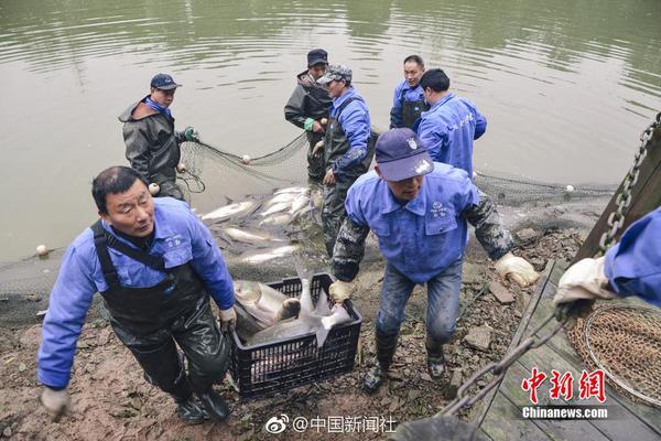 俄遠(yuǎn)東草原發(fā)生火災(zāi)造成27人受傷