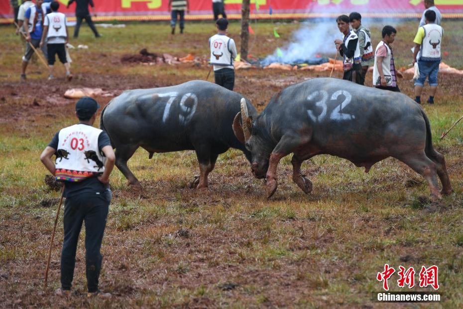 李克強(qiáng)會(huì)見巴西聯(lián)邦共和國(guó)總統(tǒng)