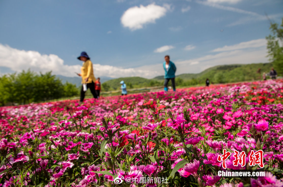 習(xí)近平同巴西聯(lián)邦共和國(guó)總統(tǒng)舉行會(huì)談 兩國(guó)元首一致同意推動(dòng)中巴全面戰(zhàn)略伙伴關(guān)系取得新的更大發(fā)展