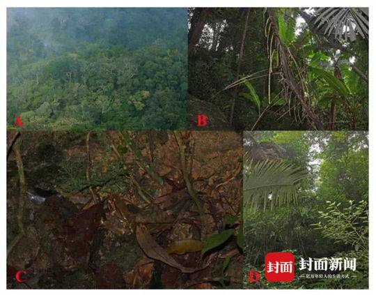 俞正聲會(huì)見(jiàn)巴西聯(lián)邦共和國(guó)總統(tǒng)