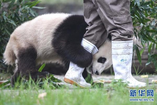 習(xí)近平同巴西聯(lián)邦共和國總統(tǒng)舉行會(huì)談 兩國元首一致同意推動(dòng)中巴全面戰(zhàn)略伙伴關(guān)系取得新的更大發(fā)展
