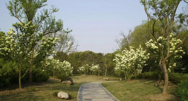 習(xí)近平同巴西聯(lián)邦共和國(guó)總統(tǒng)舉行會(huì)談 兩國(guó)元首一致同意推動(dòng)中巴全面戰(zhàn)略伙伴關(guān)系取得新的更大發(fā)展