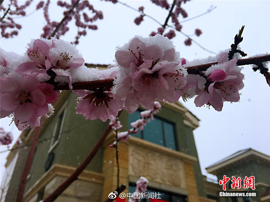 生產(chǎn)、銷售假劣疫苗，罰款標(biāo)準(zhǔn)擬提至3000萬(wàn)