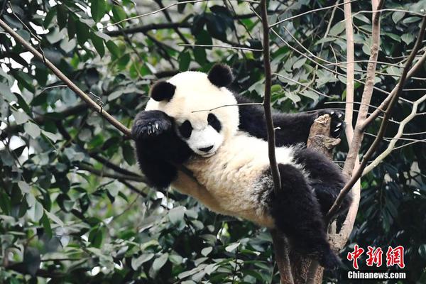 俞正聲會見巴西聯(lián)邦共和國總統(tǒng)
