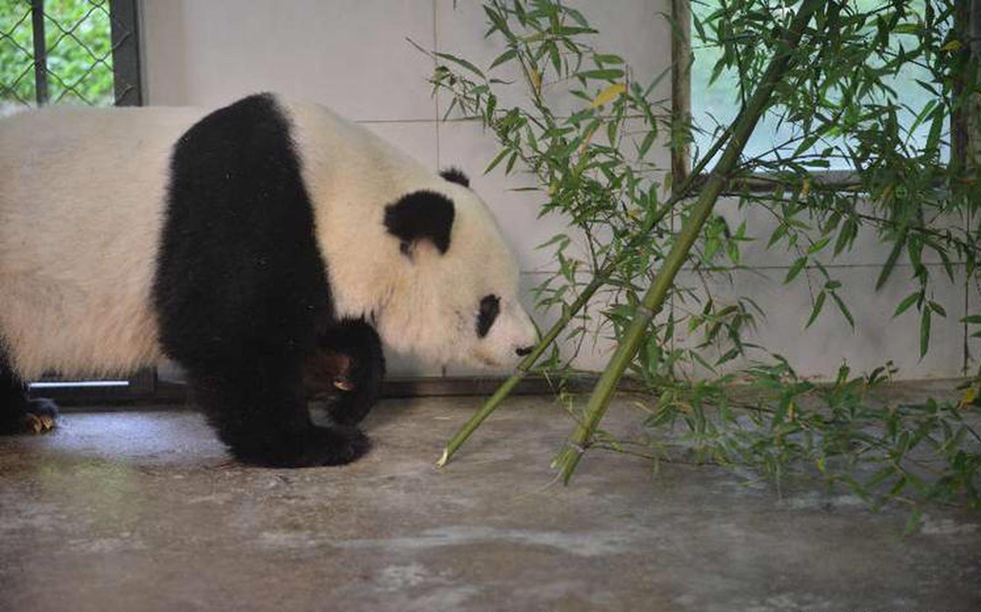 俞正聲會見巴西聯(lián)邦共和國總統(tǒng)