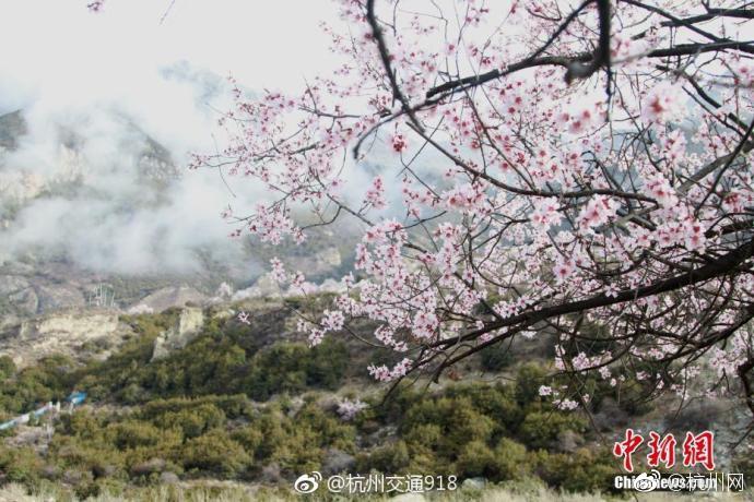 習近平同巴西聯(lián)邦共和國總統(tǒng)舉行會談 兩國元首一致同意推動中巴全面戰(zhàn)略伙伴關系取得新的更大發(fā)展