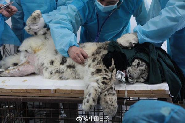 習近平同巴西聯(lián)邦共和國總統(tǒng)舉行會談 兩國元首一致同意推動中巴全面戰(zhàn)略伙伴關(guān)系取得新的更大發(fā)展
