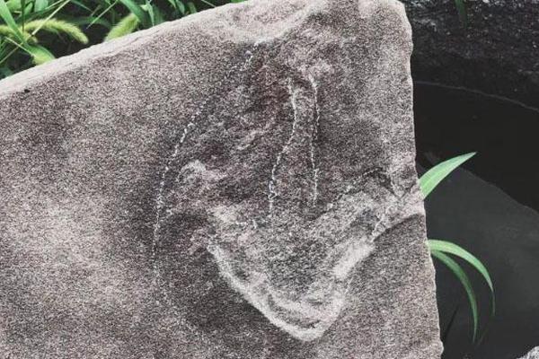 習(xí)近平同巴西聯(lián)邦共和國總統(tǒng)舉行會談 兩國元首一致同意推動中巴全面戰(zhàn)略伙伴關(guān)系取得新的更大發(fā)展