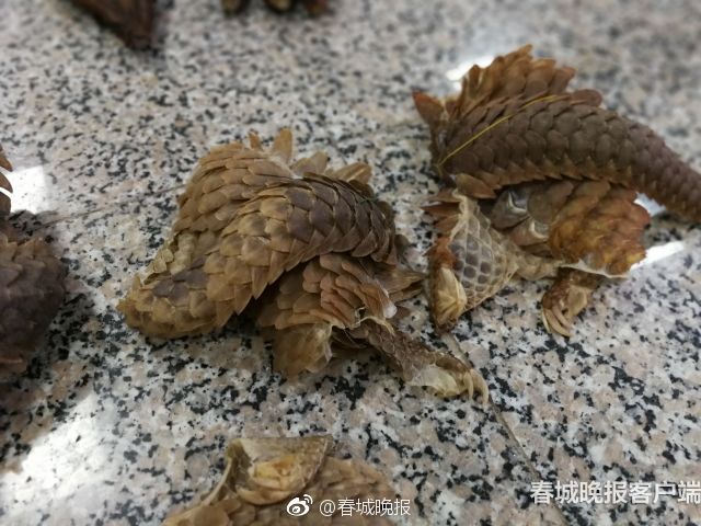 俞正聲會(huì)見(jiàn)巴西聯(lián)邦共和國(guó)總統(tǒng)