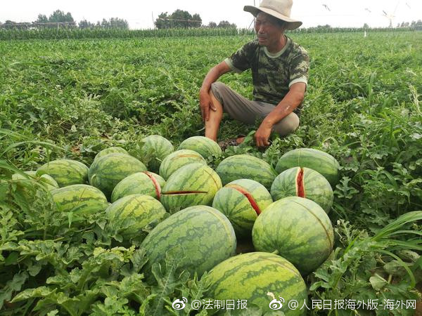 程序員如何賺外快？