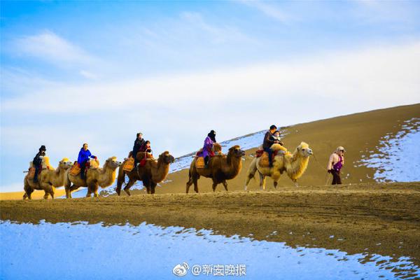 俞正聲會(huì)見(jiàn)巴西聯(lián)邦共和國(guó)總統(tǒng)