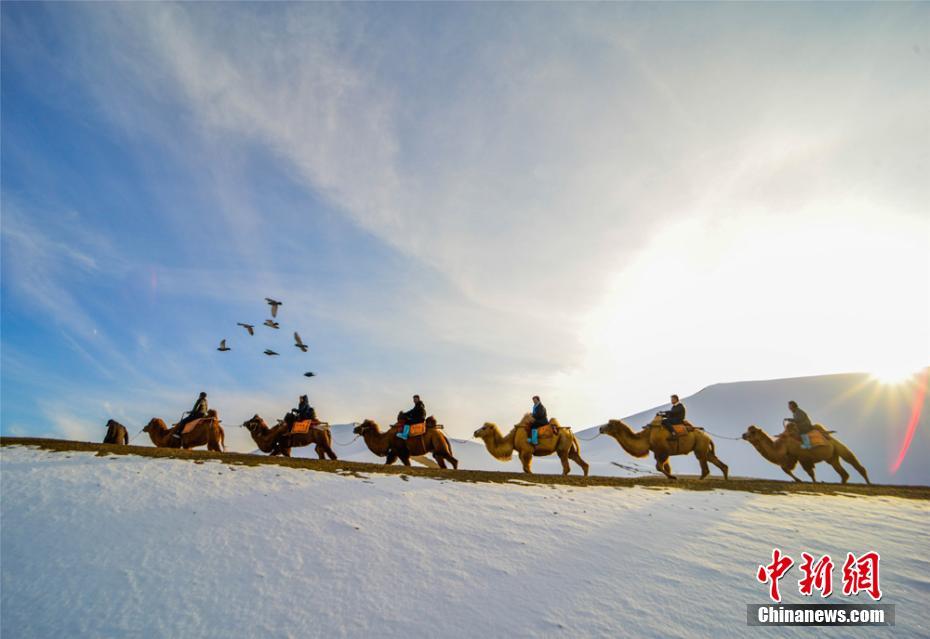 河北“袁府”是養(yǎng)老院？白巖松：要真是，就感動(dòng)中國了