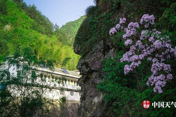 李克強(qiáng)會見巴西聯(lián)邦共和國總統(tǒng)