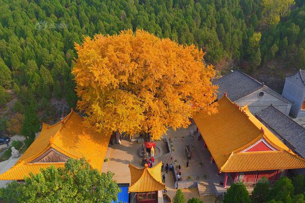李克強(qiáng)會見巴西聯(lián)邦共和國總統(tǒng)
