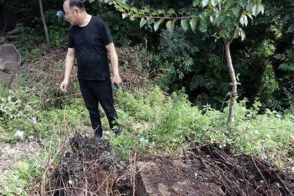 習近平同巴西聯(lián)邦共和國總統(tǒng)舉行會談 兩國元首一致同意推動中巴全面戰(zhàn)略伙伴關系取得新的更大發(fā)展