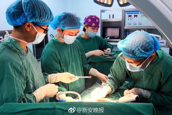 俞正聲會(huì)見巴西聯(lián)邦共和國(guó)總統(tǒng)