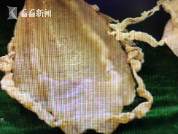 李克強(qiáng)會見巴西聯(lián)邦共和國總統(tǒng)