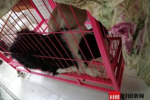俞正聲會(huì)見巴西聯(lián)邦共和國總統(tǒng)