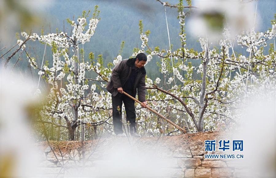 俞正聲會(huì)見巴西聯(lián)邦共和國(guó)總統(tǒng)
