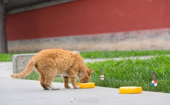 李克強(qiáng)會(huì)見巴西聯(lián)邦共和國(guó)總統(tǒng)