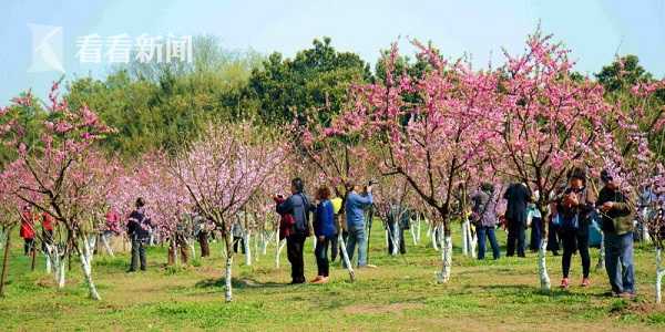 中共中央黨校舉行秋季學期開學典禮 劉云山出席并講話