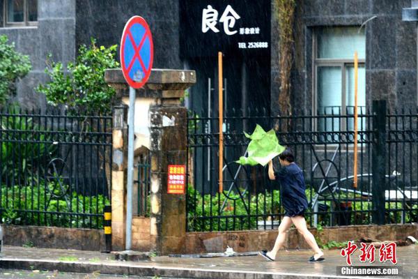 起底城市綠化中的奢靡之風(fēng)：貧困縣斥資200多萬種銀杏