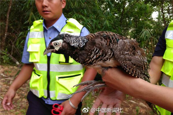 李克強會見巴西聯(lián)邦共和國總統(tǒng)