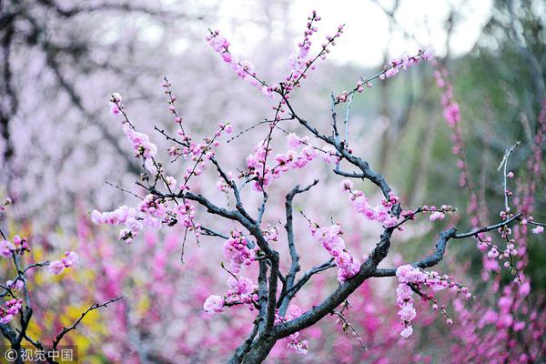 習(xí)近平同巴西聯(lián)邦共和國總統(tǒng)舉行會談 兩國元首一致同意推動中巴全面戰(zhàn)略伙伴關(guān)系取得新的更大發(fā)展