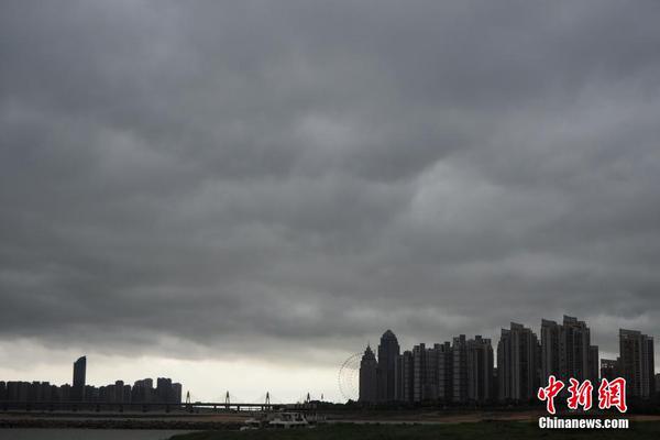 起底城市綠化中的奢靡之風：貧困縣斥資200多萬種銀杏