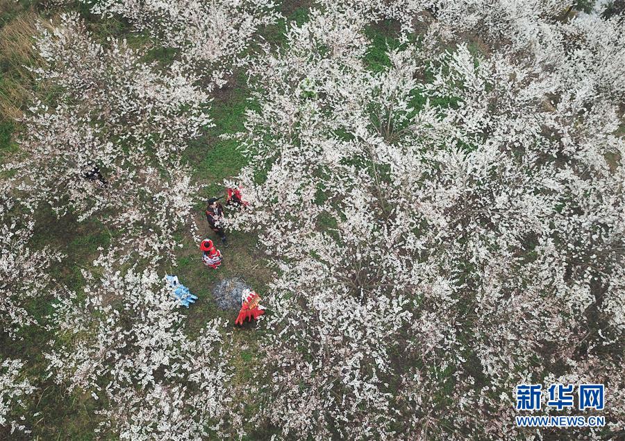十二屆全國(guó)人大常委會(huì)第二十九次會(huì)議在京閉幕
