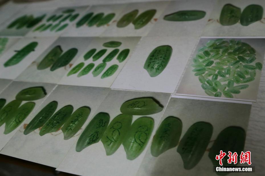 俞正聲會(huì)見巴西聯(lián)邦共和國總統(tǒng)