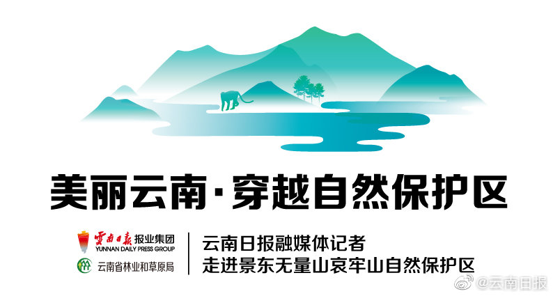 習近平同巴西聯(lián)邦共和國總統(tǒng)舉行會談 兩國元首一致同意推動中巴全面戰(zhàn)略伙伴關系取得新的更大發(fā)展