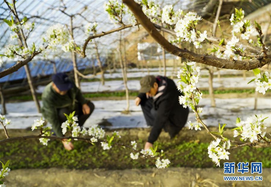 習(xí)近平同巴西聯(lián)邦共和國(guó)總統(tǒng)舉行會(huì)談 兩國(guó)元首一致同意推動(dòng)中巴全面戰(zhàn)略伙伴關(guān)系取得新的更大發(fā)展