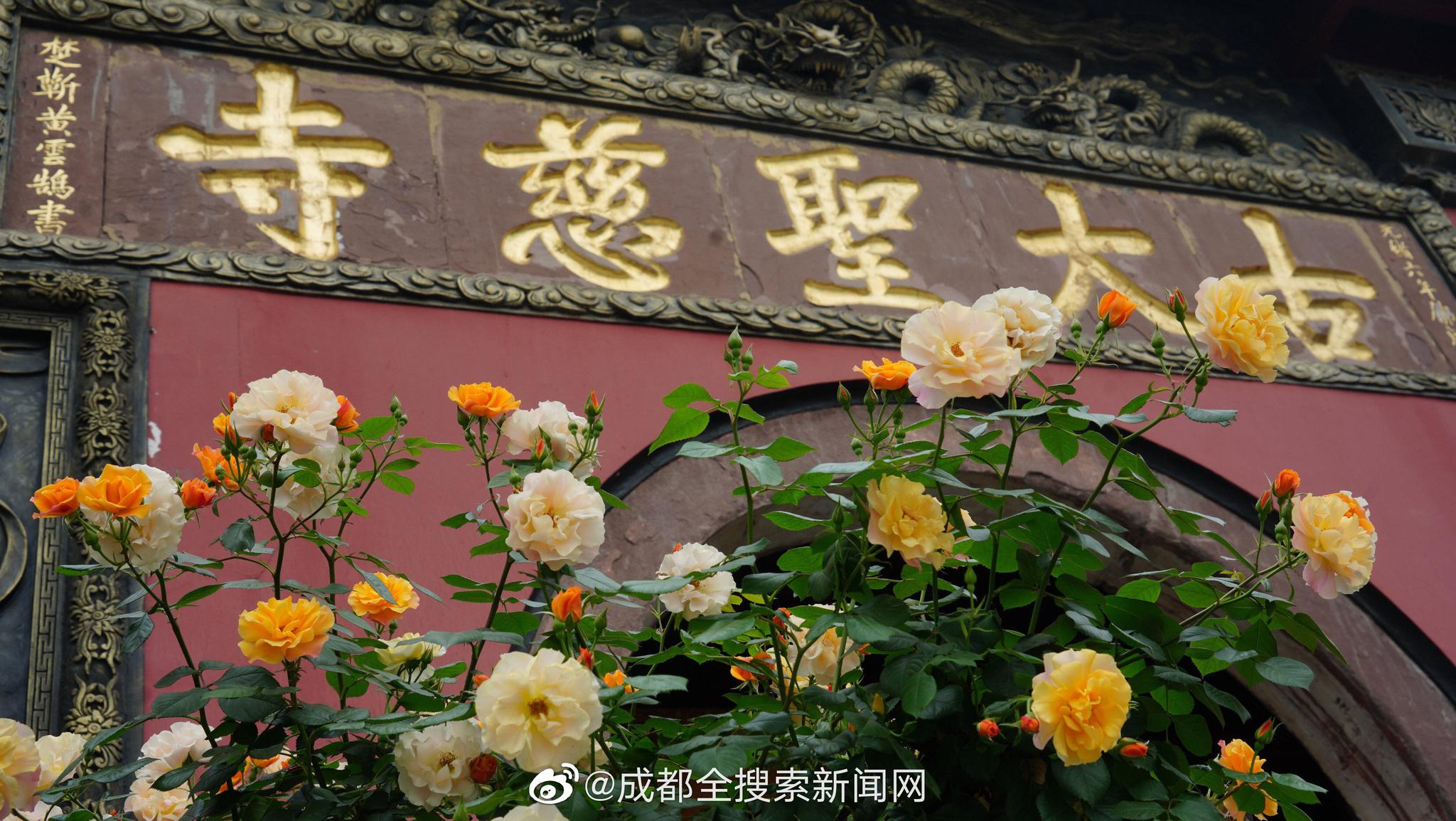 中共中央黨校舉行秋季學(xué)期開(kāi)學(xué)典禮 劉云山出席并講話(huà)