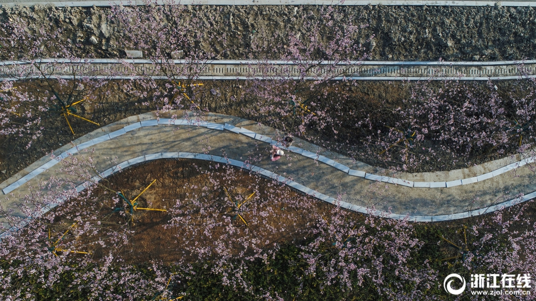 中共中央黨校舉行秋季學(xué)期開學(xué)典禮 劉云山出席并講話