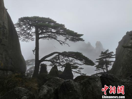 習(xí)近平同巴西聯(lián)邦共和國(guó)總統(tǒng)舉行會(huì)談 兩國(guó)元首一致同意推動(dòng)中巴全面戰(zhàn)略伙伴關(guān)系取得新的更大發(fā)展